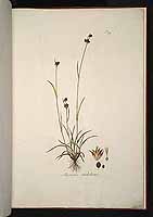  no thumbnail available