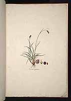  no thumbnail available