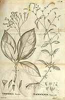  no thumbnail available