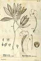  no thumbnail available