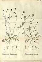  no thumbnail available