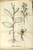  no thumbnail available