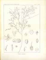  no thumbnail available