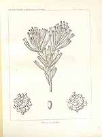  no thumbnail available