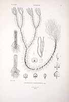  no thumbnail available