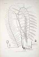  no thumbnail available