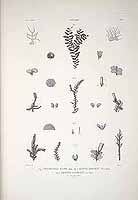  no thumbnail available