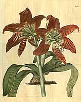  no thumbnail available