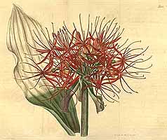  no thumbnail available