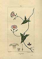  no thumbnail available