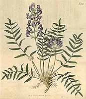  no thumbnail available