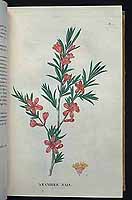  no thumbnail available