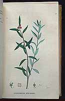  no thumbnail available