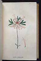  no thumbnail available