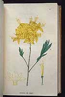  no thumbnail available