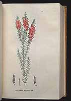  no thumbnail available