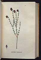  no thumbnail available