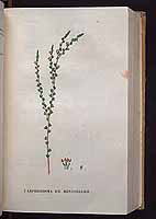  no thumbnail available