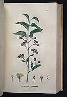  no thumbnail available