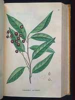  no thumbnail available