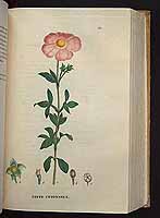  no thumbnail available