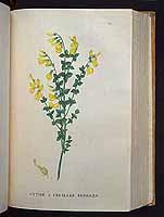  no thumbnail available