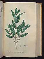  no thumbnail available