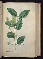  no thumbnail available