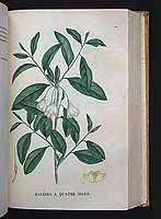  no thumbnail available