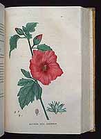  no thumbnail available