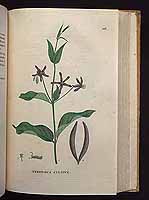  no thumbnail available