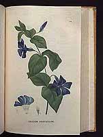  no thumbnail available