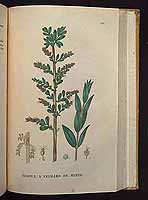  no thumbnail available