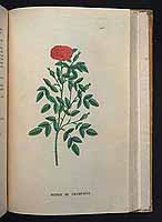  no thumbnail available