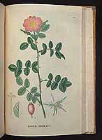  no thumbnail available