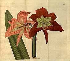  no thumbnail available