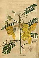  no thumbnail available